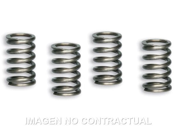 Muelles para embrague Original Pit Bike