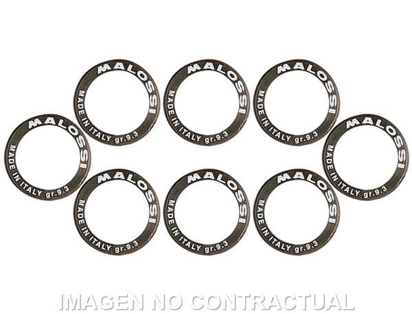 Rodillos variador Malossi 28 x 19,9 17gr.