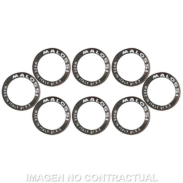 Rodillos variador Malossi D. 25 x 17 14G Gilera Nexus 500