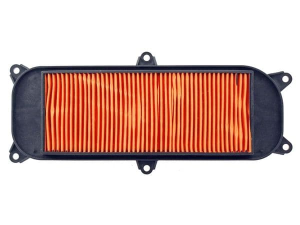 Filtro de aire Kymco People S 250 (03/06)