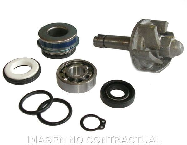 Kit Reparación Bomba De Agua Aprilia Leonardo 250