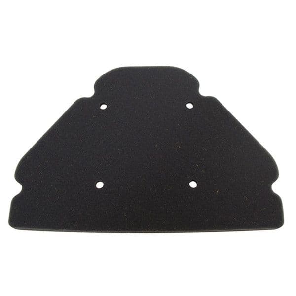Filtro de aire Kawasaki ZX9R Ninja 900 (1998-2003)