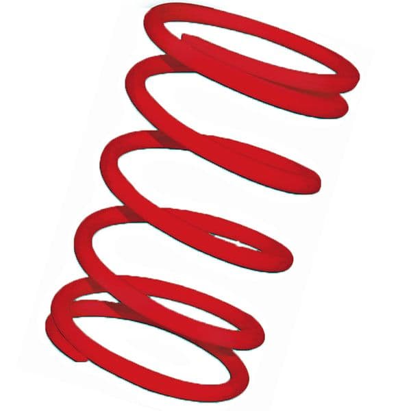 Muelle central embrague rojo Motor Leader