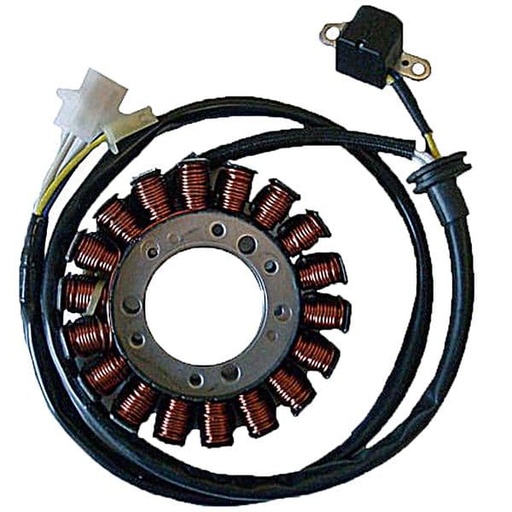 [E04161602.] Stator de encendido Yamaha FZS Fazer 600 98/012]