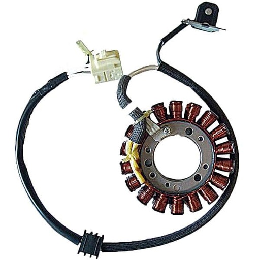 [E04163070.] Stator de encendido Yamaha Tmax 500 01/03