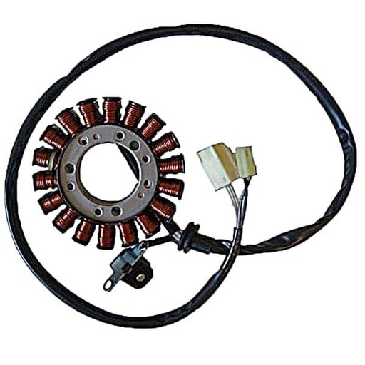 [E04161618.] Stator de encendido Yamaha FZ6 Fazer 600 01/03