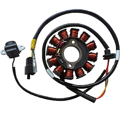 [E04163053.] Stator de encendido Kymco People S 125 200