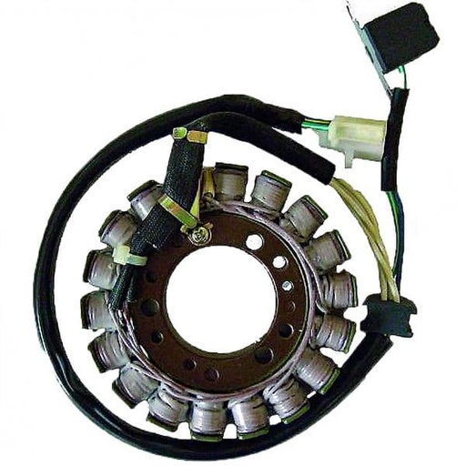 [E04163059.] Stator de encendido Aprilia Leonardo 250 300, Yamaha Majesty 250 00/07