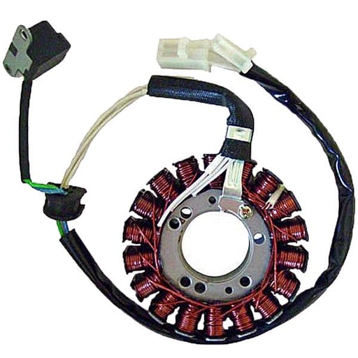[E04163069.] Stator de encendido Aprilia Leonado 250, Majesty 250 96/00