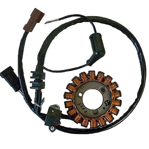 [E04168010.] Stator de encendido Piaggio Mp3 125, X10 IE 4T 4V 125