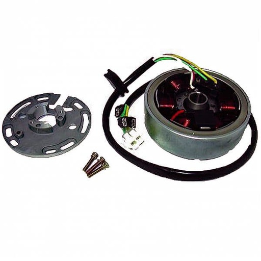 [E04168513.] Volante Magnético 6 Polos 12V 85W (Motor Derbi sin arranque eléctrico)
