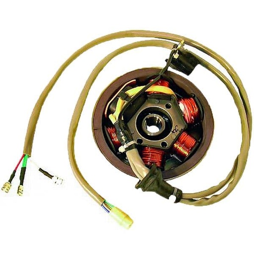 [E04168530.] Volante Magnético 6 Polos 12V 90W (Motor Piaggio 50 2T)