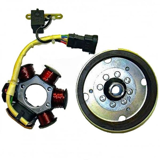 [E04168581.] Volante Magnético 6 Polos 12V 90W (Motor Piaggio 50 2T "HI-PER 2" Catalizado)