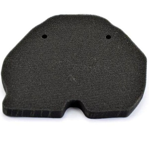 [EF265189.] Filtro de aire Benelli BN 302 (2014/2019)