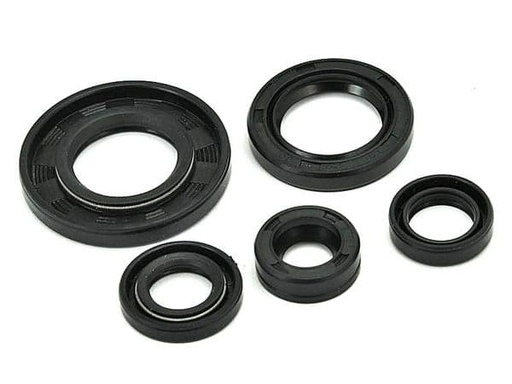 [040920D.] Juego retenes cigüeñal - motor Yamaha YBR 125 - XT R - TT R