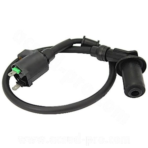 [970919K.] Bobina encendido 2 Pins GY6 50 125 4T Kymco Agility People Dink