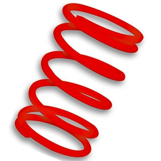 [E299976R0.] Muelle central embrague Rojo Leonardo 250