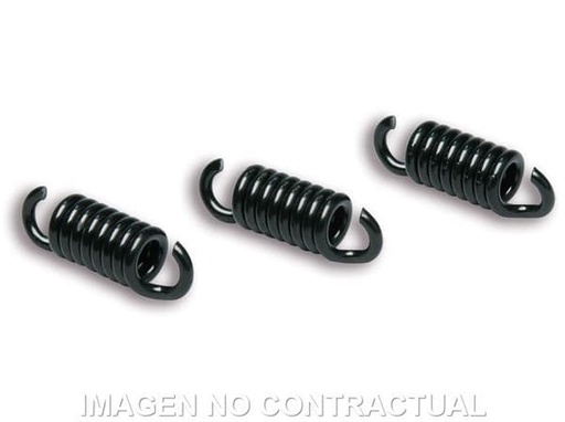 [E2912049.] Juego De Muelles Para Embrague Delta Clutch FXR