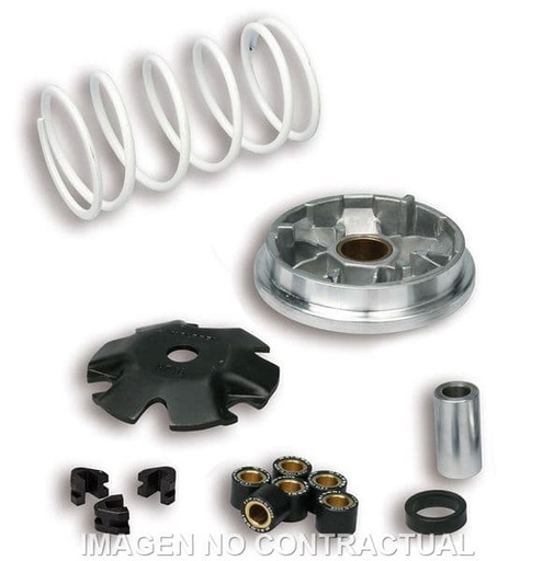 [E518752.] Variador Malossi Multivar Peugeot Buxy Zenith, Speedake