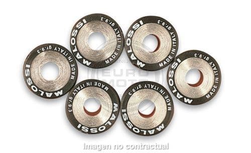 [E6614705F0.] Rodillos variador Malossi 18x14 14gr.