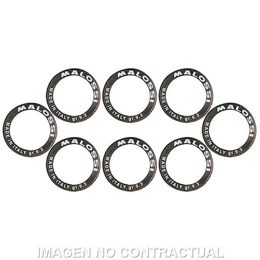 [E6612776A0.] Rodillos variador Malossi D. 25 x 17 14G Gilera Nexus 500