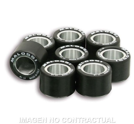 [E6613655H0.] Rodillos variador Malossi 25 x 19 19G