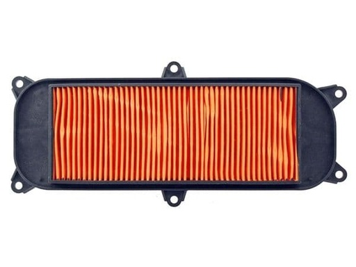 [R100602431.] Filtro de aire Kymco People S 250 (03/06)