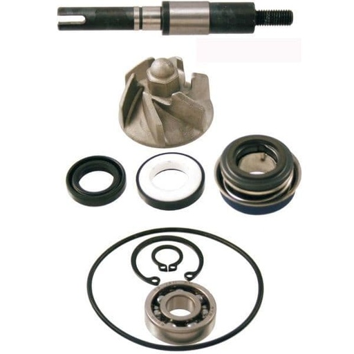 [R100110190.] Bomba de agua Honda Sh 125 150 Dylan Passion Nes Fes