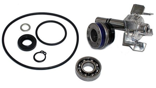 [E37282018.] Kit Reparación Bomba De Agua Tmax 500 (04-11)