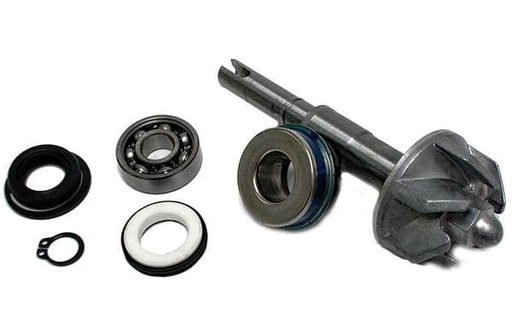 [E37282024.] Kit Reparación Bomba De Agua Honda SH 125 150 PS Swing Pantheon Dylan