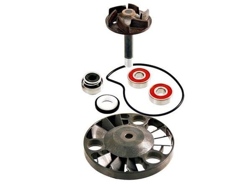 [R100110070.] Kit reparación bomba agua Piaggio Aprilia Gilera 125 200 250