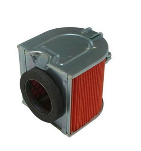 [EF264390 [H1239] -HFA1204.] Filtro de aire Piaggio CN Helix / Spazio 250- Hexagon GT