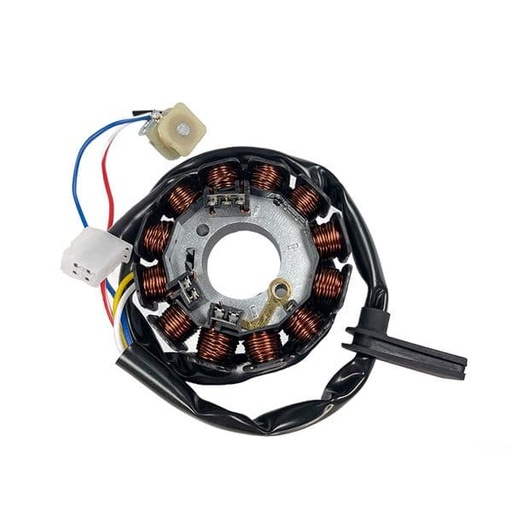 [E04163082.] Stator de encendido Yamaha DT 50, Rieju MRT RR SMX, Beta, HM, Malaguti / Motores AM6