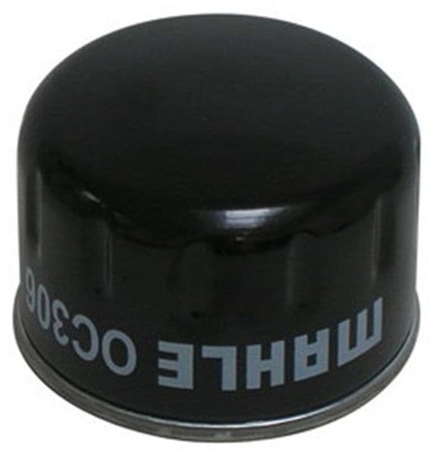 [EF266025.] Filtro de aceite Bmw R / C / F / HP2 / NINE-T