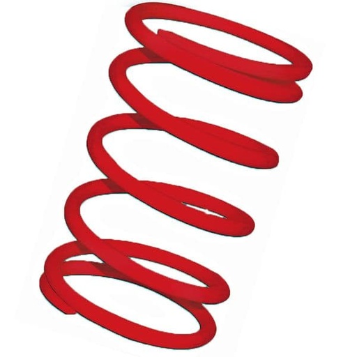 [E2916460R0.] Muelle central embrague rojo Motor Leader