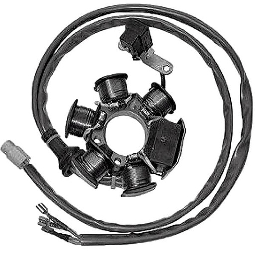 [E04293499.] Stator de encendido Piaggio Liberty NRG Typhoon, Gilera 50 2T (Hasta 2003)