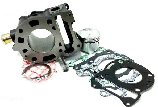 [E420121 - 030316J.] Cilindro Aprilia - Piaggio - Vespa 125 agua / Beverly MP3 X7 X8 X9 GTS 4T 4V