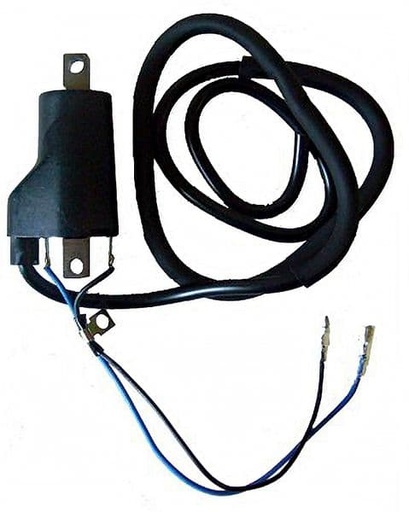 [E04004761.] Bobina alta encendido Suzuki Burgman 250 400, Intruder, TL 1000