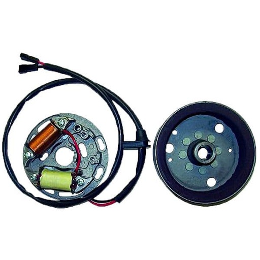 [E04061700.] Stator corriente - Volante Magnético Rieju Drac 50