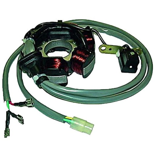 [E04128030.] Stator de encendido Gilera Runner 50 2T, Piaggio Typhoon Liberty NRG Zip