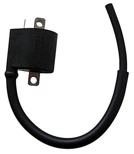 [E04161205.] Bobina alta encendido Betamotor 350, Suzuki DR 250 350, Kawasaki KFX 400