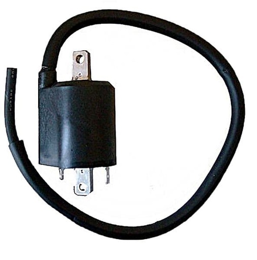 [E04161410.] Bobina alta encendido Yamaha XVS Drag Star 1100 03/06